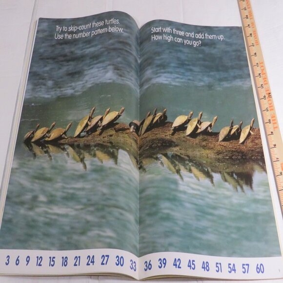 Skip Counting BIG BOOK (almost 2 feet tall) with teacher pages CLASSROOM SIZE - Picture 6 of 16